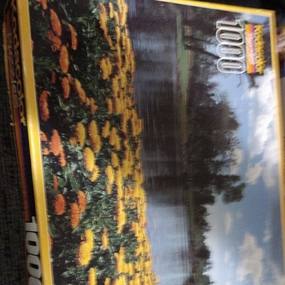 Kodacolor 1,000 Piece Puzzle with Yellow and Green Floral Scene